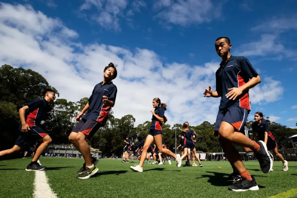 曾被视为“北岸模范公立中学”的Chatswood High School查茨伍德中学，刚刚完成了耗资2.5亿澳元的校区升级，如今却超负荷爆满，突破2100名学生大关，成为全新州第二大公立中学！